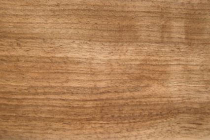 Möbel aus Massivholz kaufen – Die besten Holzarten für Möbel erkennen